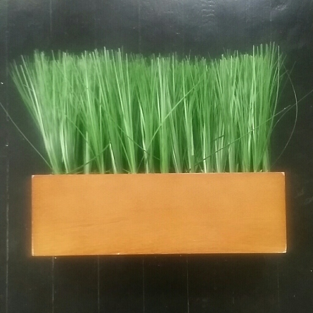 Faux Grass in a Wooden Box